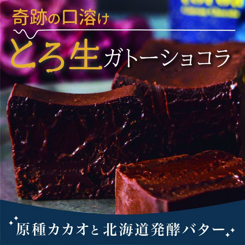 とろ生ガトーショコラ | toroa