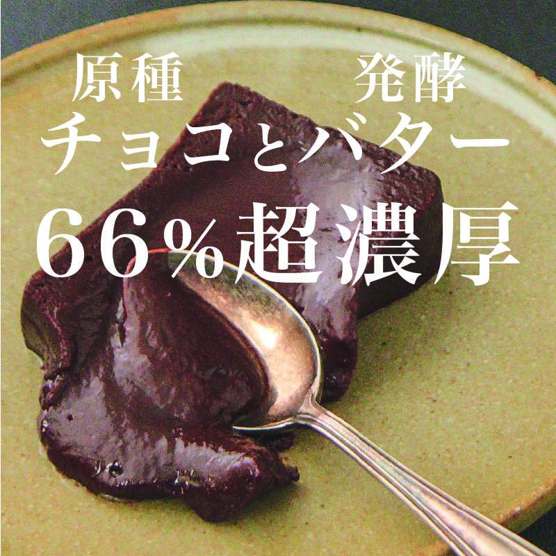 とろ生ガトーショコラ